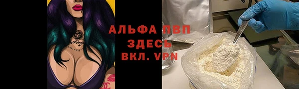 прущие грибы Арсеньев