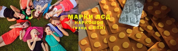 ГАЛЛЮЦИНОГЕННЫЕ ГРИБЫ Баксан