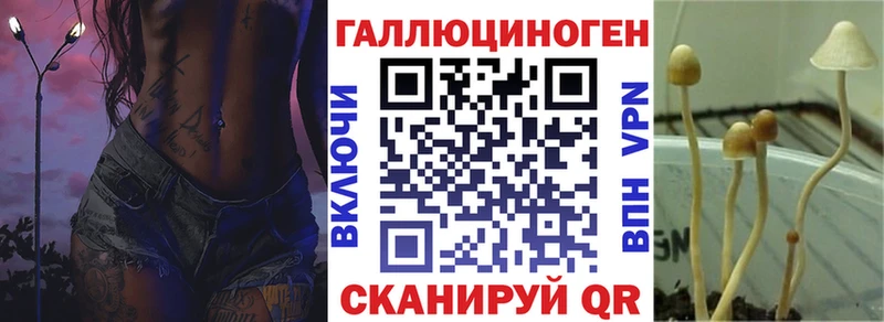 как найти закладки  Бронницы  Галлюциногенные грибы Cubensis 
